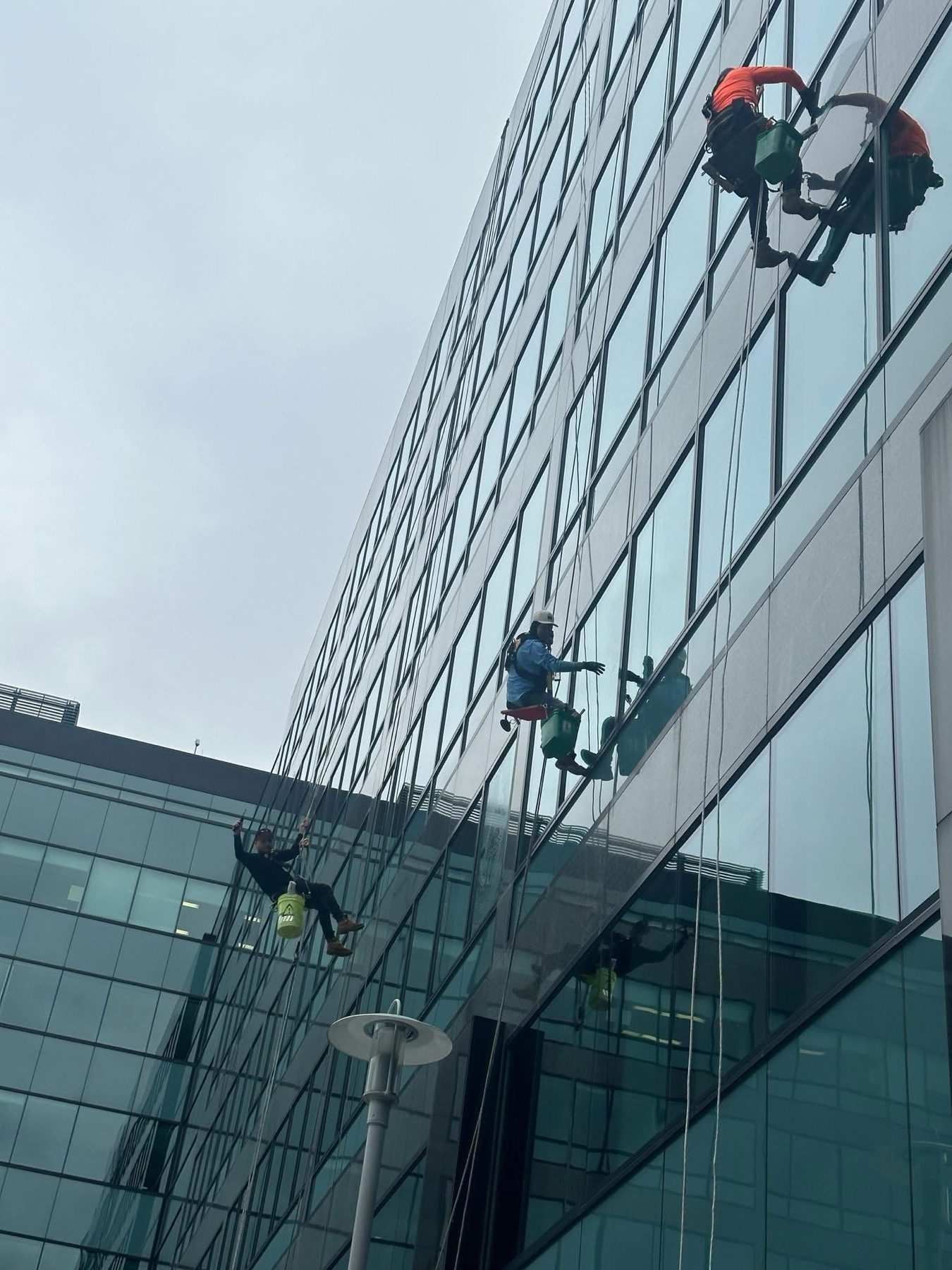 Window Cleaning